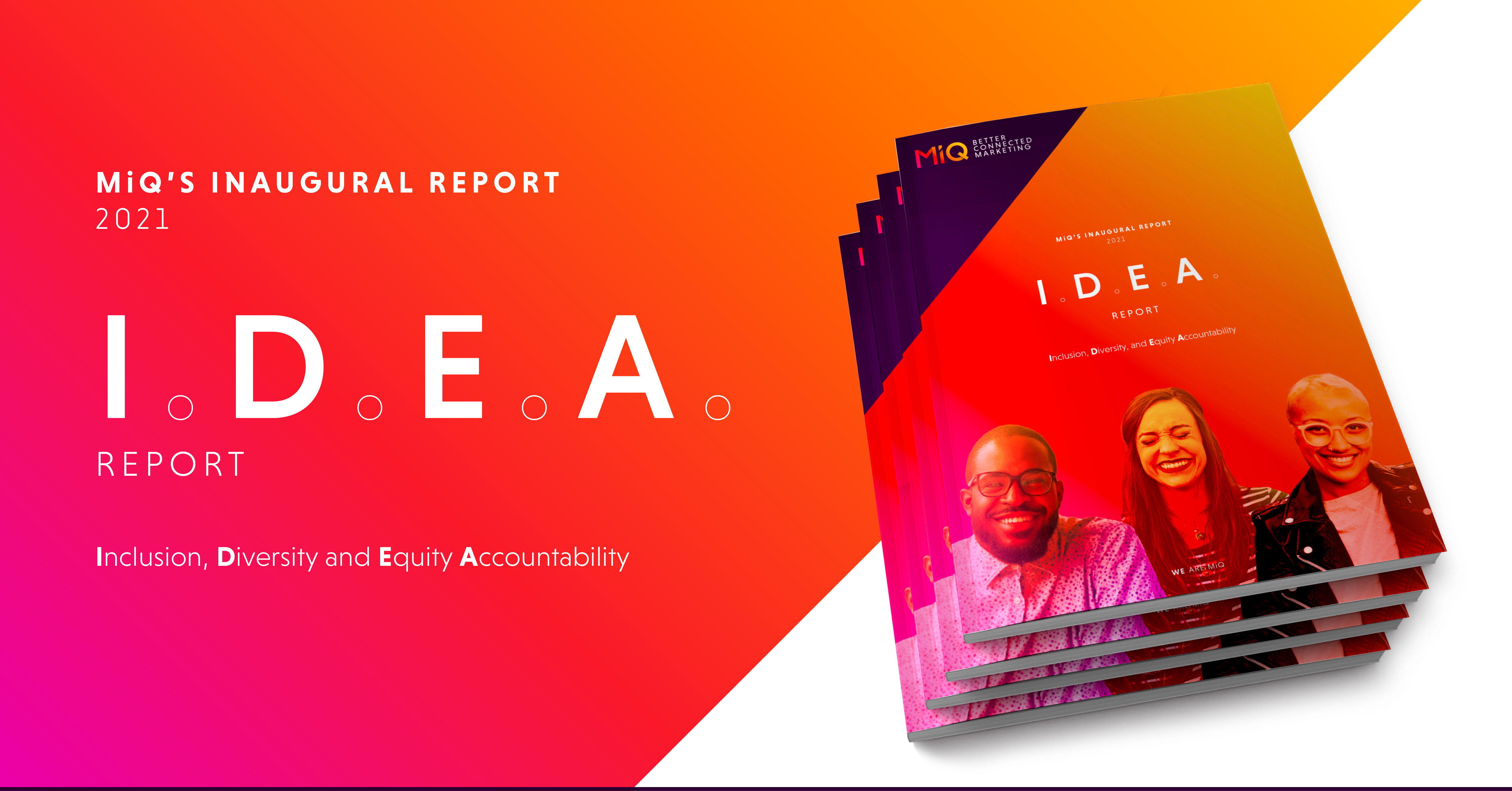 IDEA Report_Landing_Page_Panel